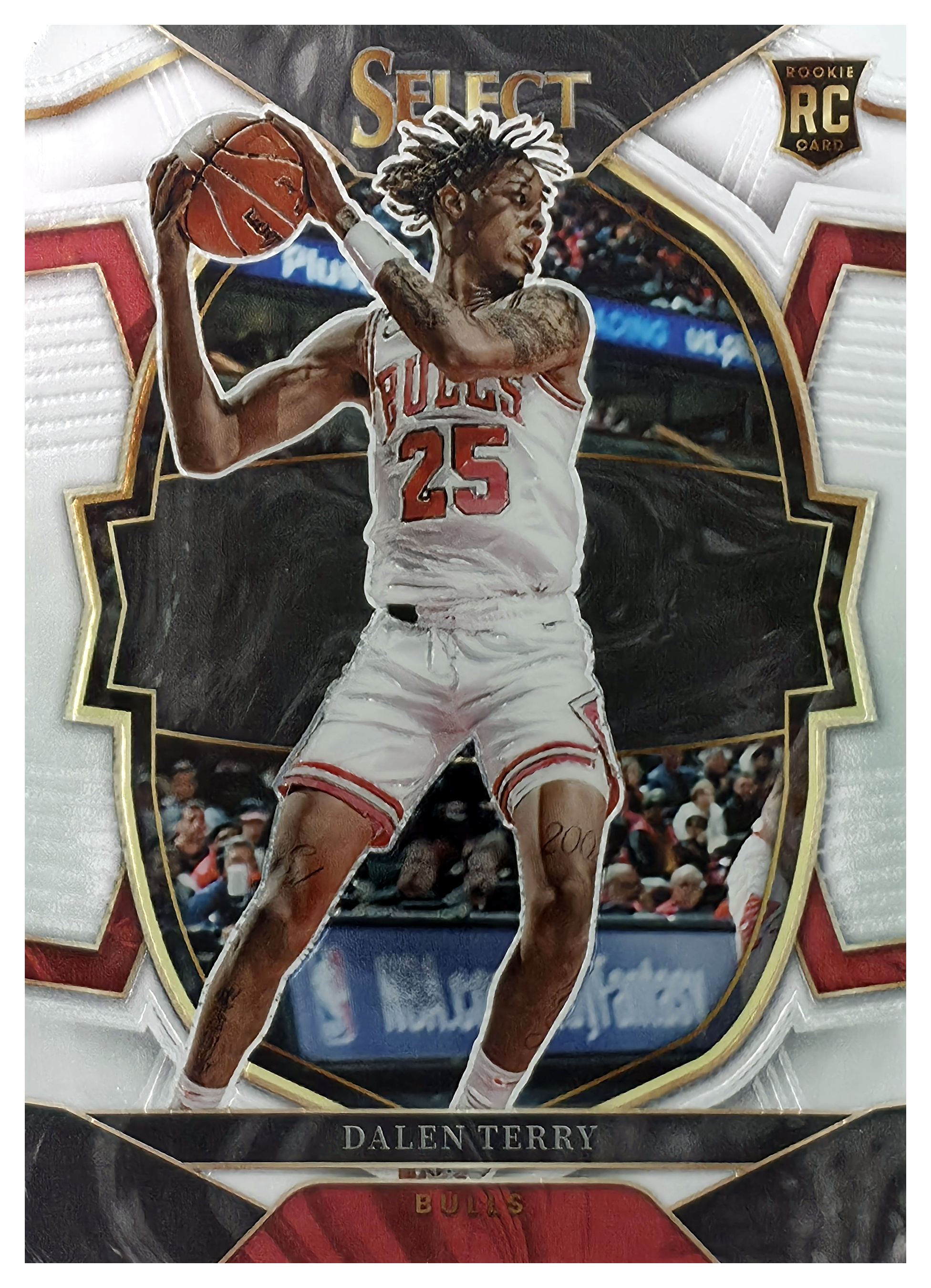 Dalen Terry - Panini Select Concourse 2022-23, Nr. 89 – Rookie Card (Art.-Nr. SG106113)