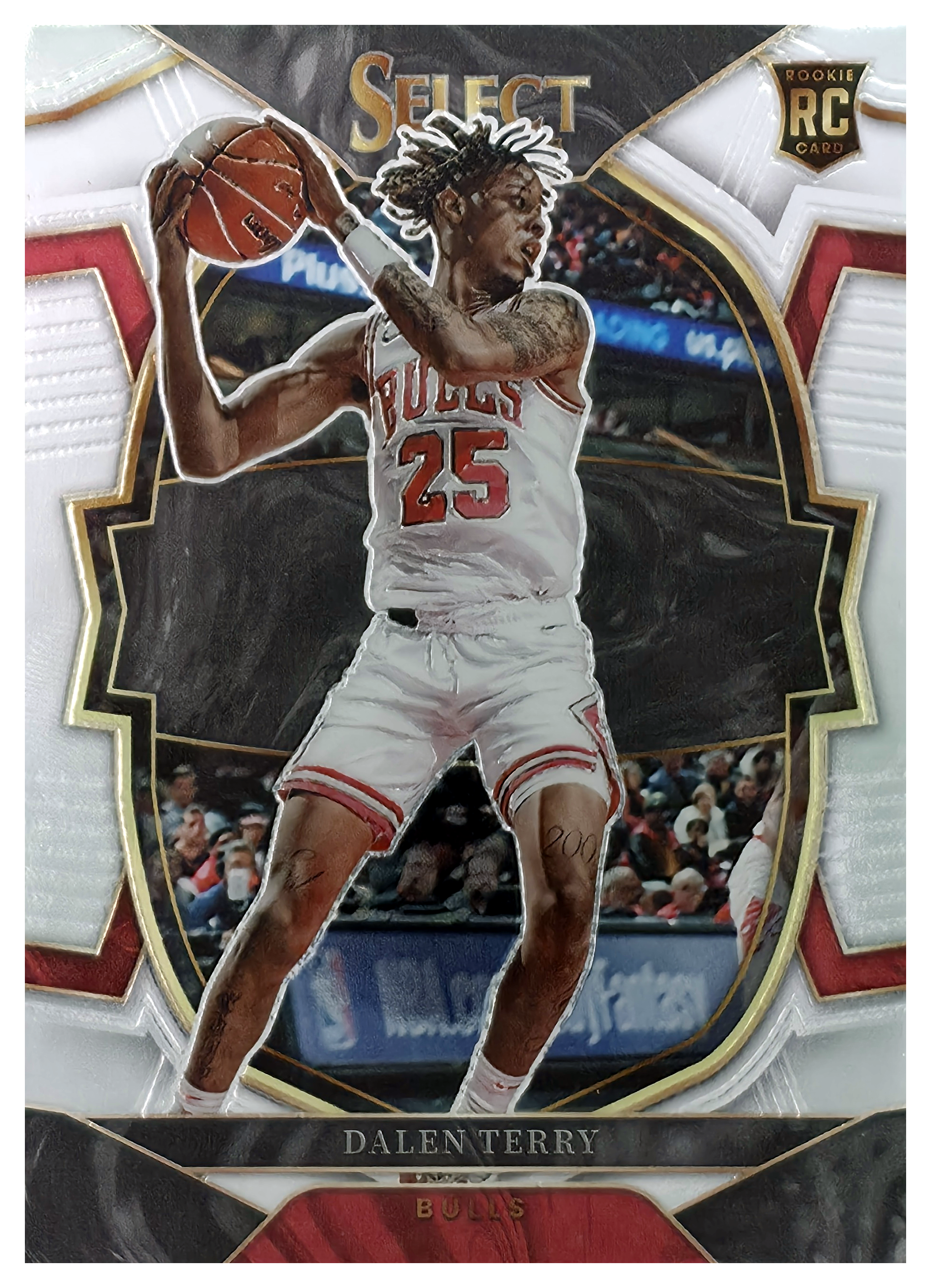 Dalen Terry - Panini Select Concourse 2022-23, Nr. 89 – Rookie Card (Art.-Nr. SG106106)