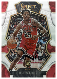 Dalen Terry - Panini Select Premier Level 2022-23, Nr. 188 – Rookie Card