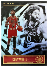 Coby White - Panini Illusions Base Set 2020-21, Nr. 86