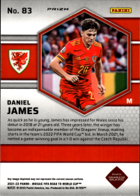 Daniel James - Panini Mosaic FIFA Road to World Cup Base Set 2021-22, Nr. 83 – Mosaic