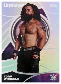 Tony D'Angelo - Topps WWE Universe Base Set 2026, Nr. 134