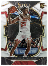 Dalen Terry - Panini Select Concourse 2022-23, Nr. 89 – Rookie Card
