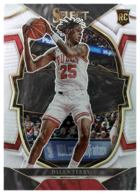 Dalen Terry - Panini Select Concourse 2022-23, Nr. 89 – Rookie Card