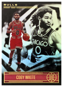 Coby White - Panini Illusions Base Set 2020-21, Nr. 86
